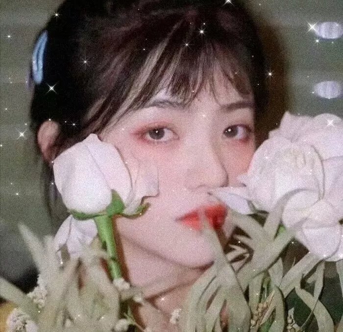 小森林 冬春篇